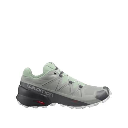 Buty do biegania Salomon Speedcross 5 Szare