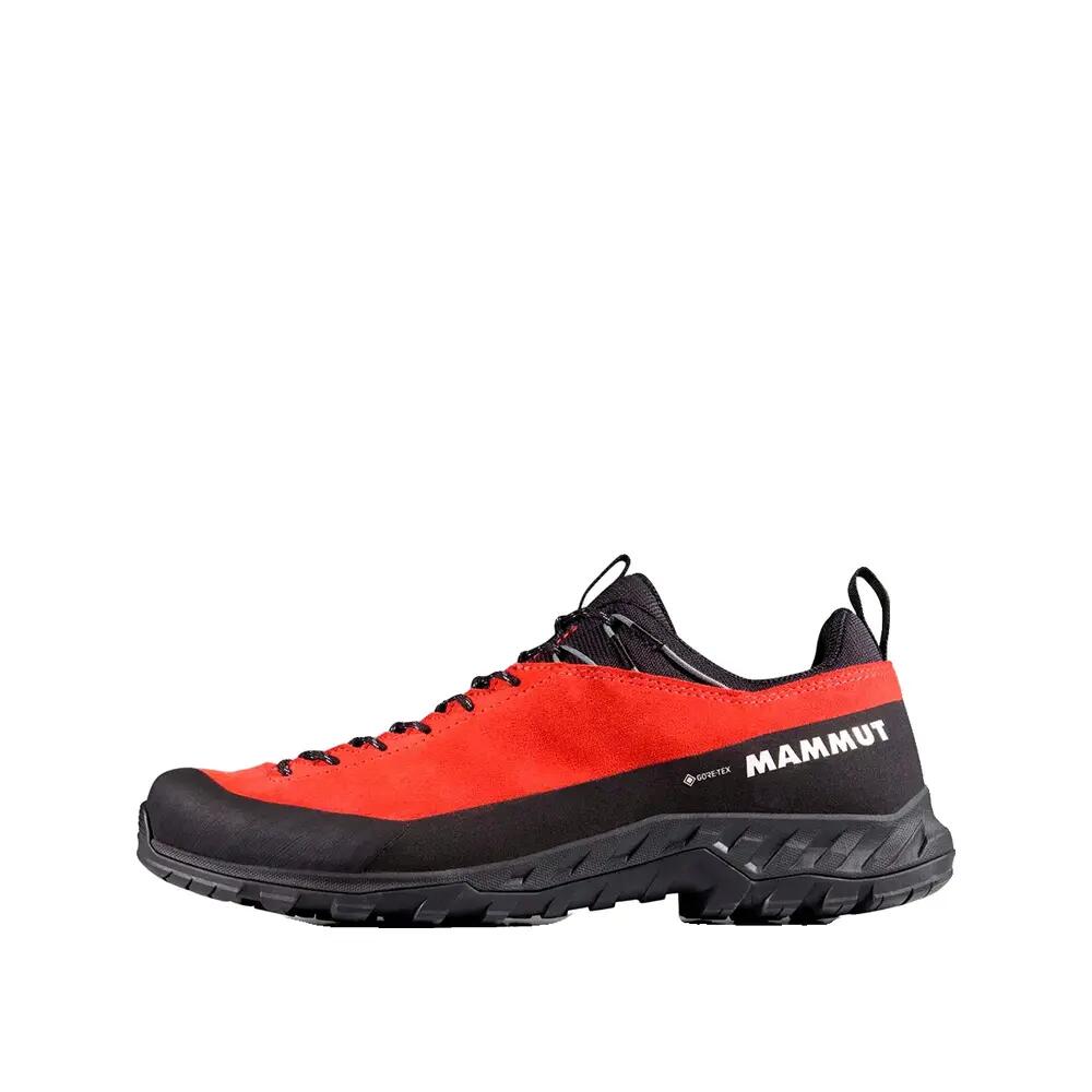 MAMMUT picture