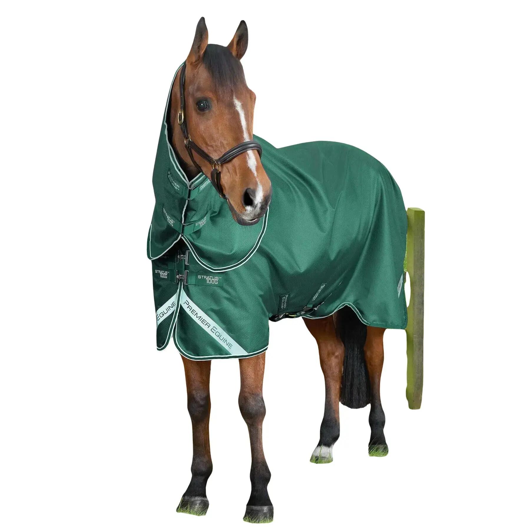 PREMIER EQUINE picture