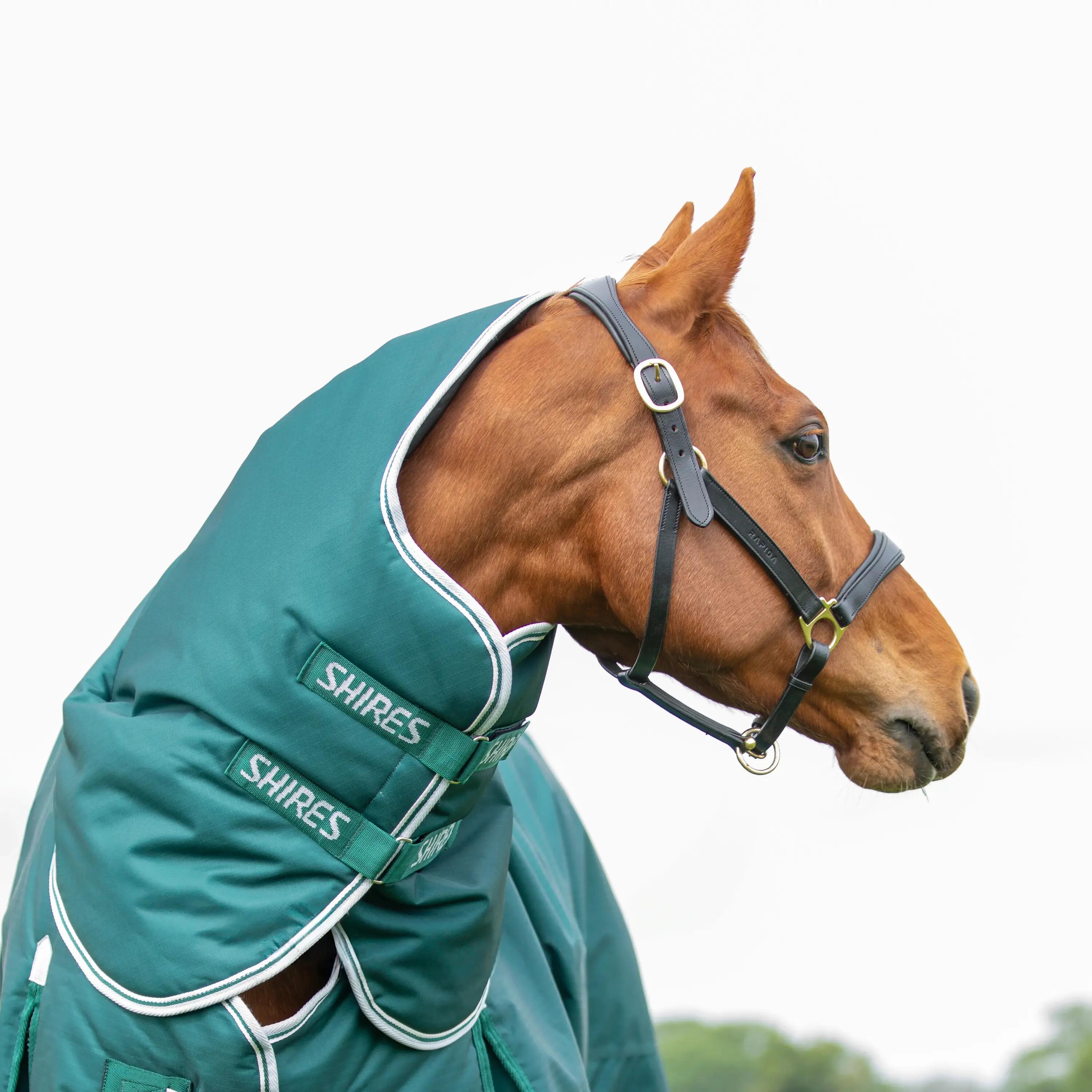 Coperta da paddock per cavalli con copricollo Highlander Original 300g 3/7
