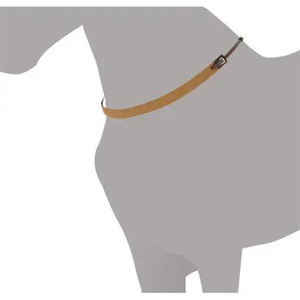 Collier pour cheval anglaise élastique Lexhis