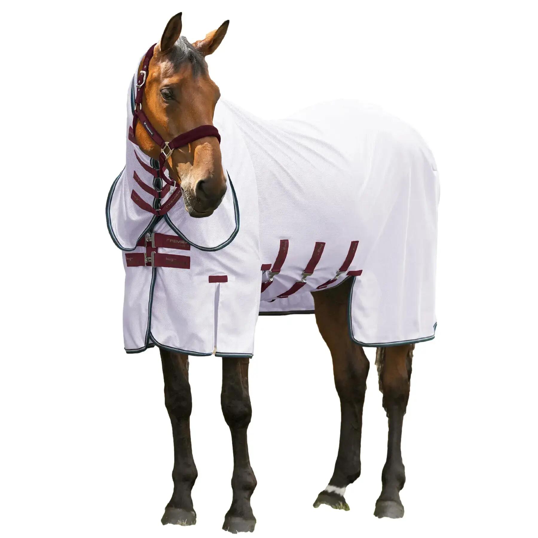 PREMIER EQUINE picture