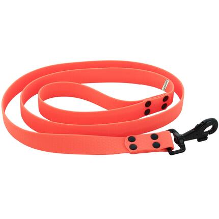LAISSE CHIEN CANIHUNT MADE IN FRANCE HEXA 150CM largeur 25mm ORANGE