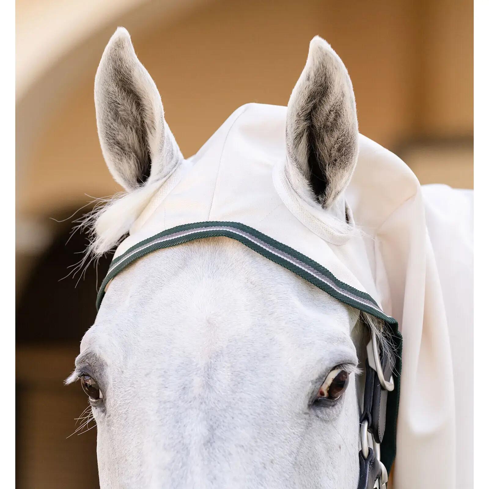 Copertura anti-UV per pony Horseware Rambo 2/2