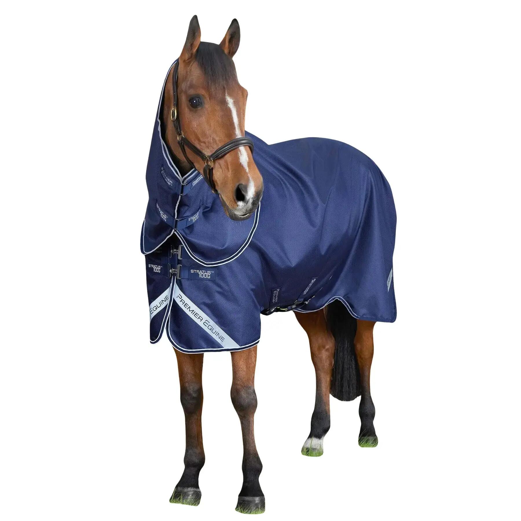 PREMIER EQUINE picture