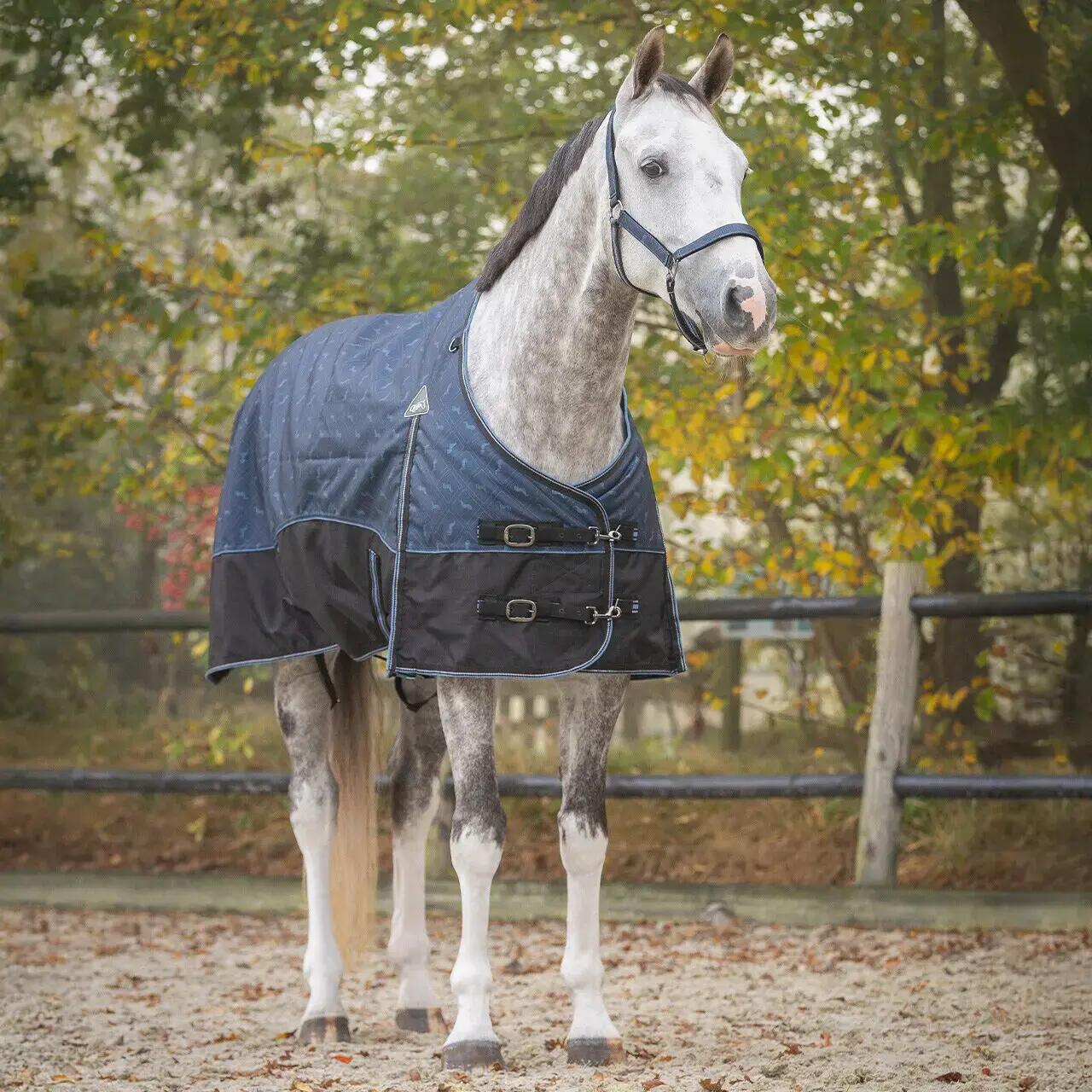Couverture pour cheval QHP Collection 150 g 2/2