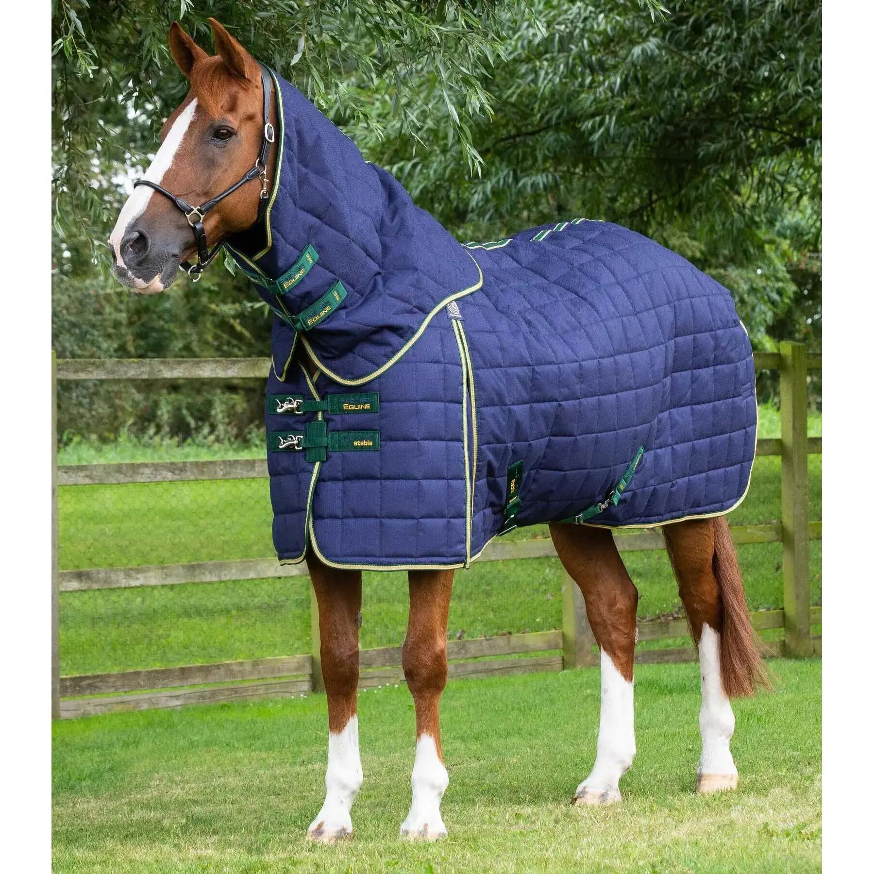 PREMIER EQUINE picture