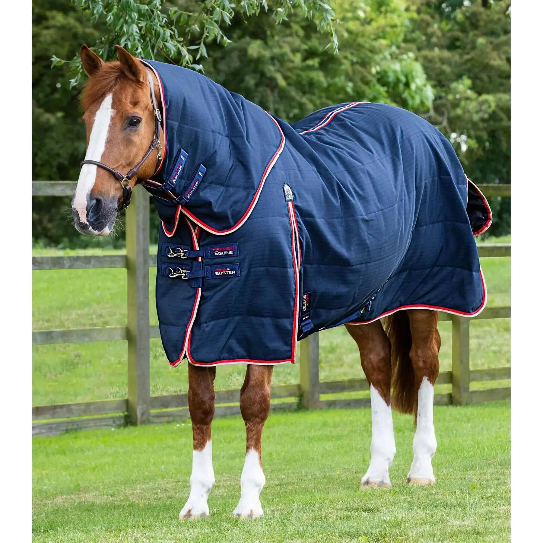 PREMIER EQUINE picture