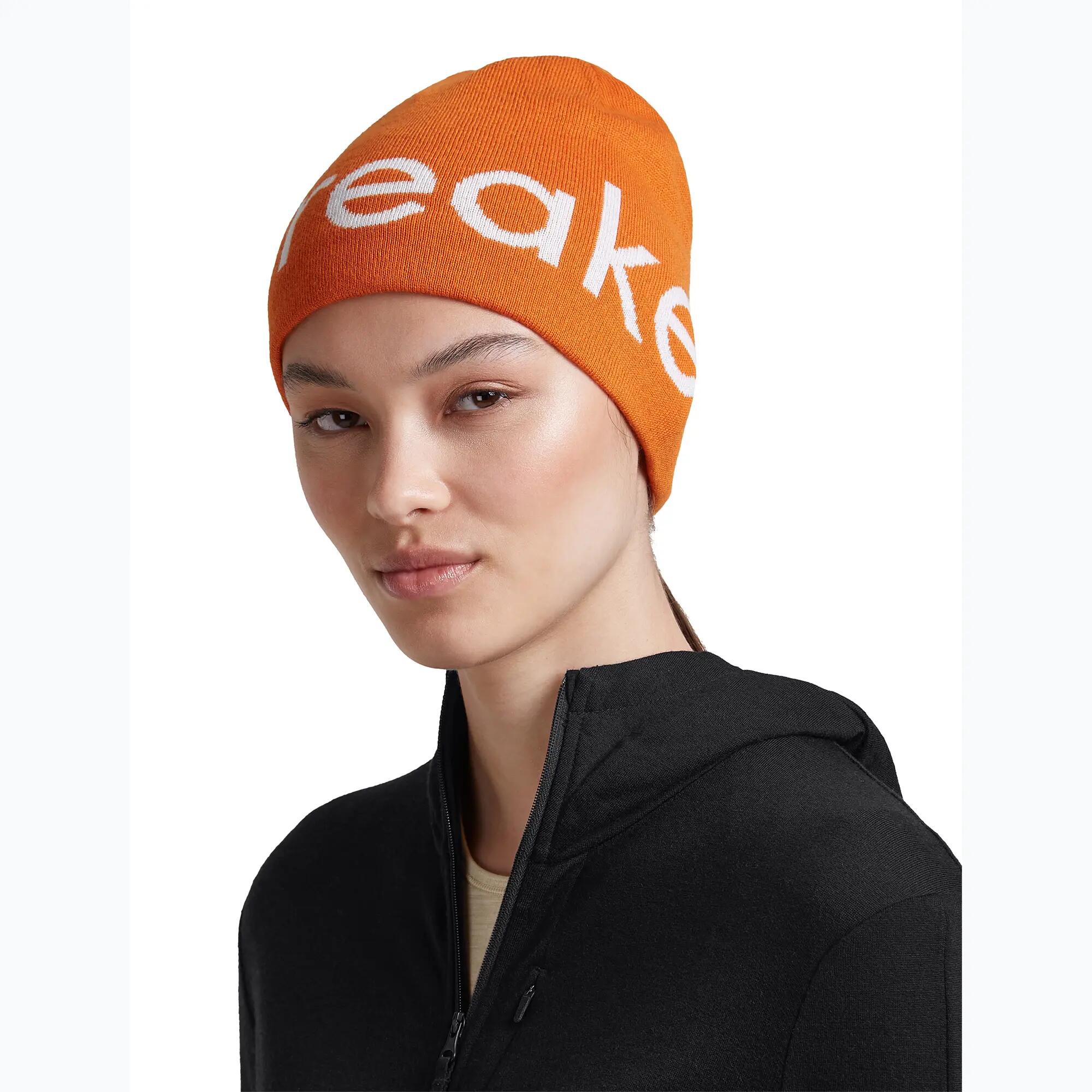 Gorro de invierno icebreaker Merino Icebreaker Beanie 7/7
