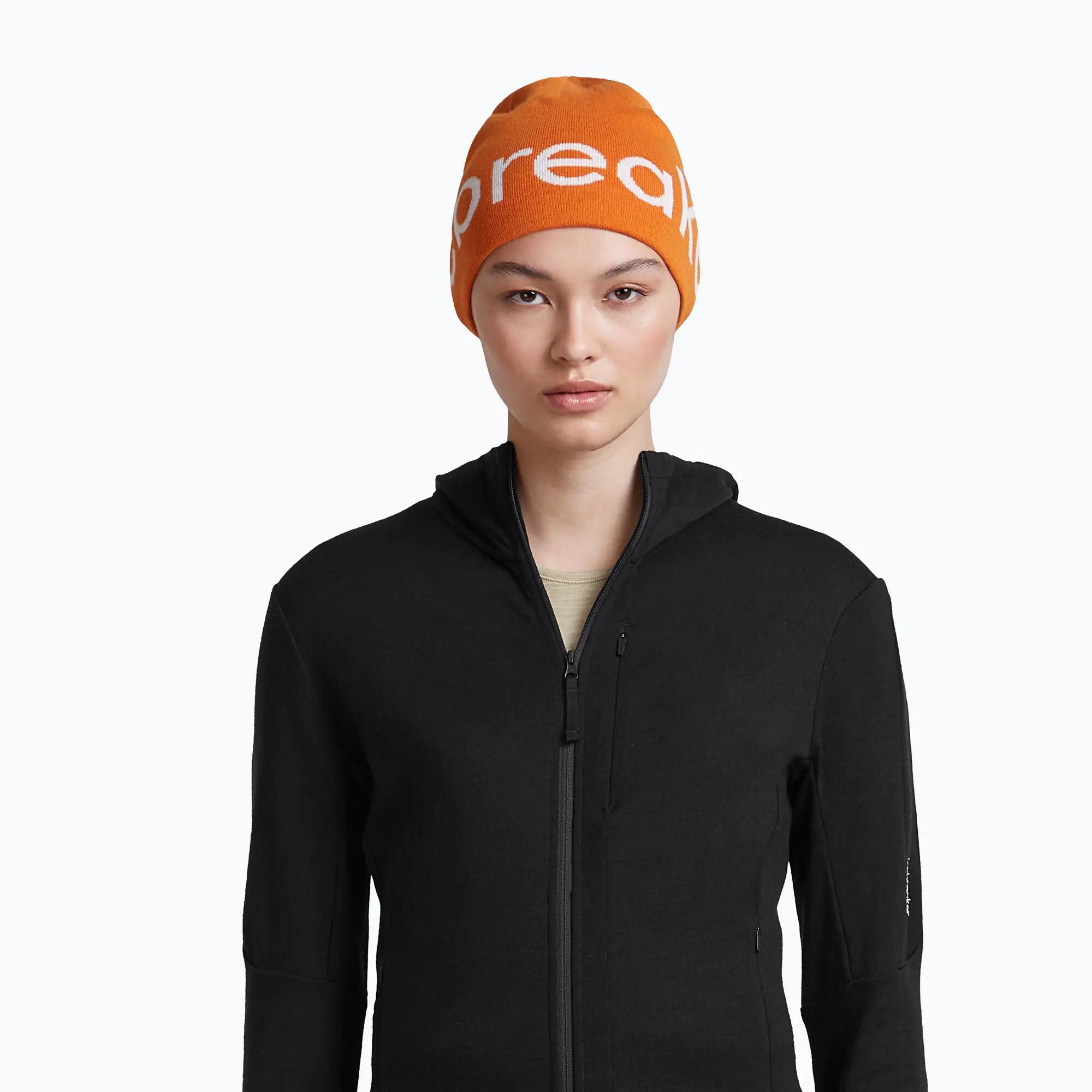 Gorro de invierno icebreaker Merino Icebreaker Beanie 6/7