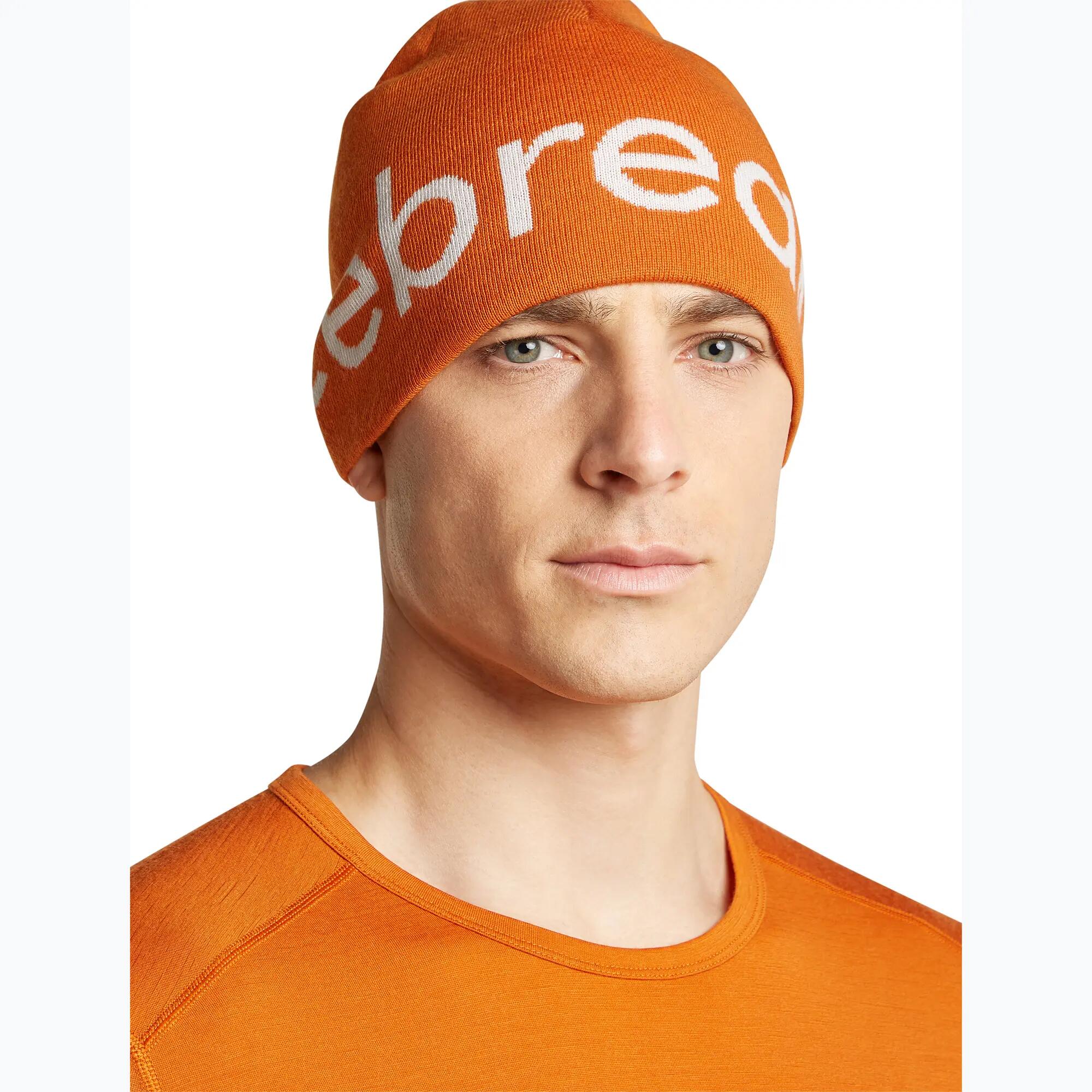 Gorro de invierno icebreaker Merino Icebreaker Beanie 4/7