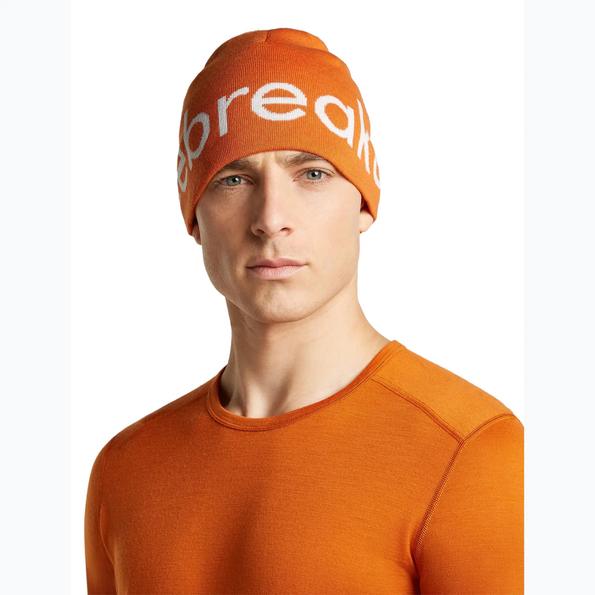 Gorro de invierno icebreaker Merino Icebreaker Beanie 3/7