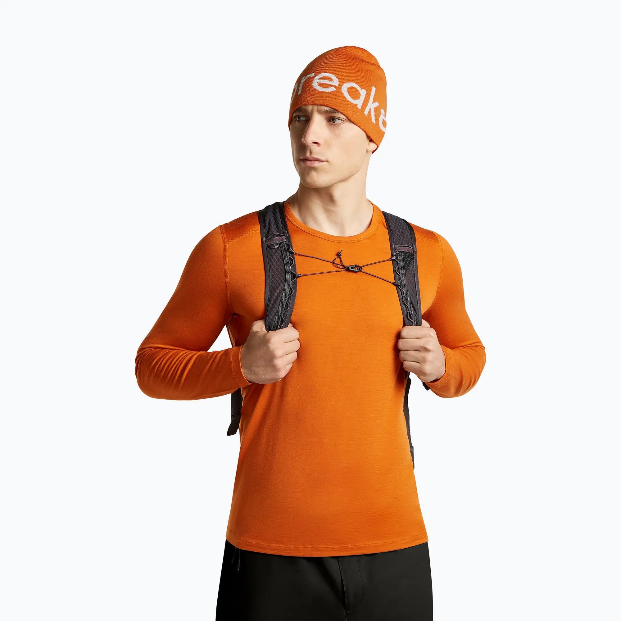 Gorro de invierno icebreaker Merino Icebreaker Beanie 2/7