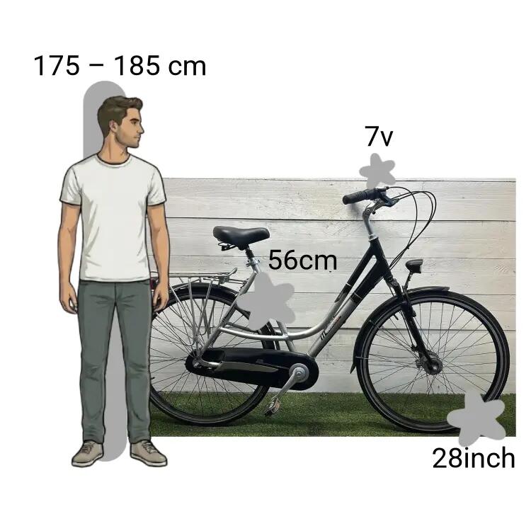 Gebraucht Mercure Freeride 2/4