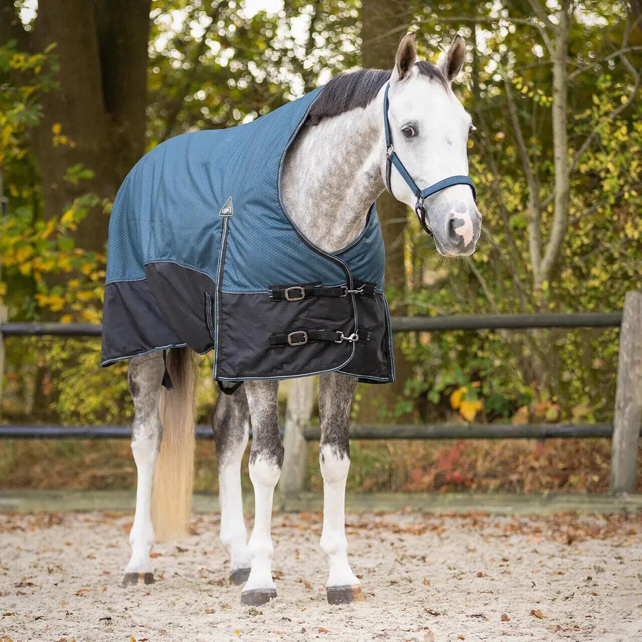Couverture demi-cou pour cheval QHP Collection 150g 3/6