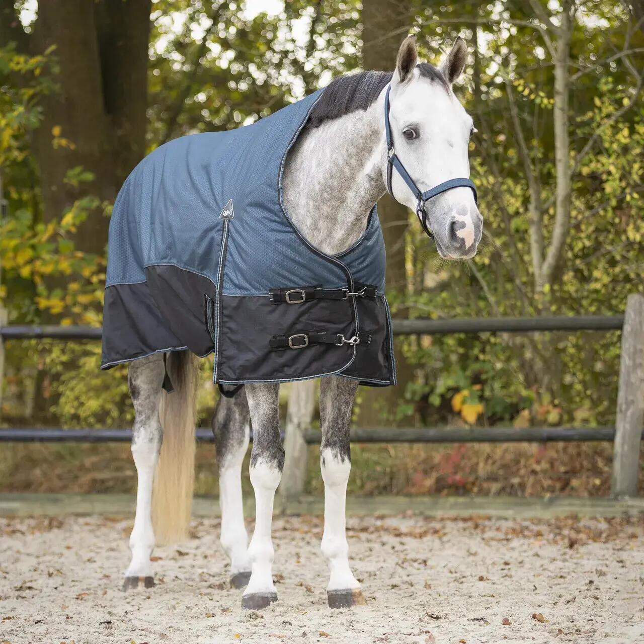 Couverture demi-cou pour cheval QHP Collection 150g 2/6
