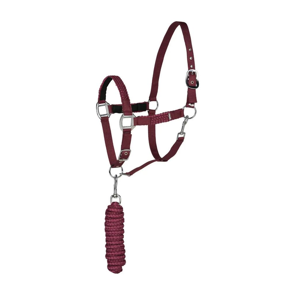 Halter and lead rope set for horse Horze Chicago