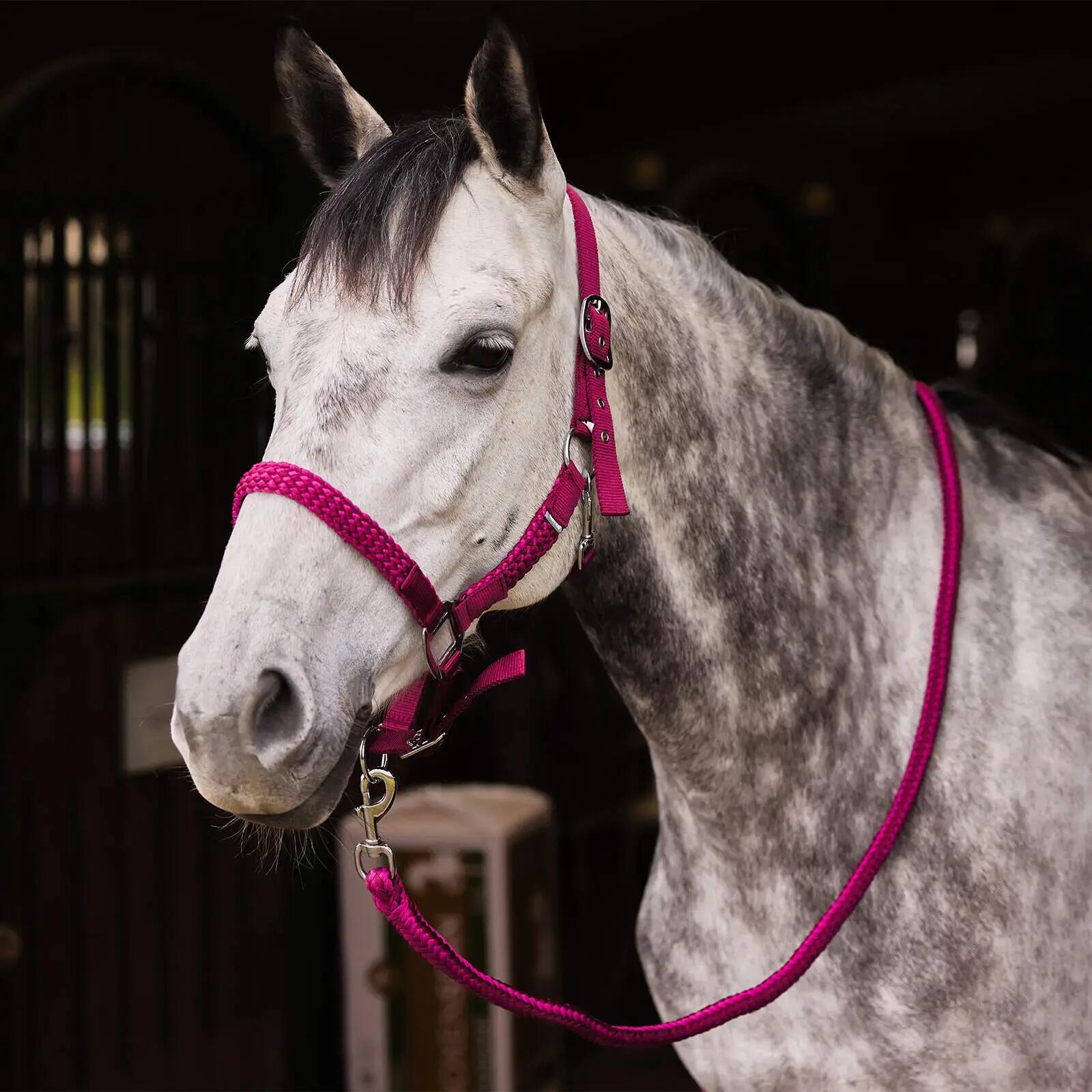 Ensemble licol et longe pour cheval Horze Chicago 3/3