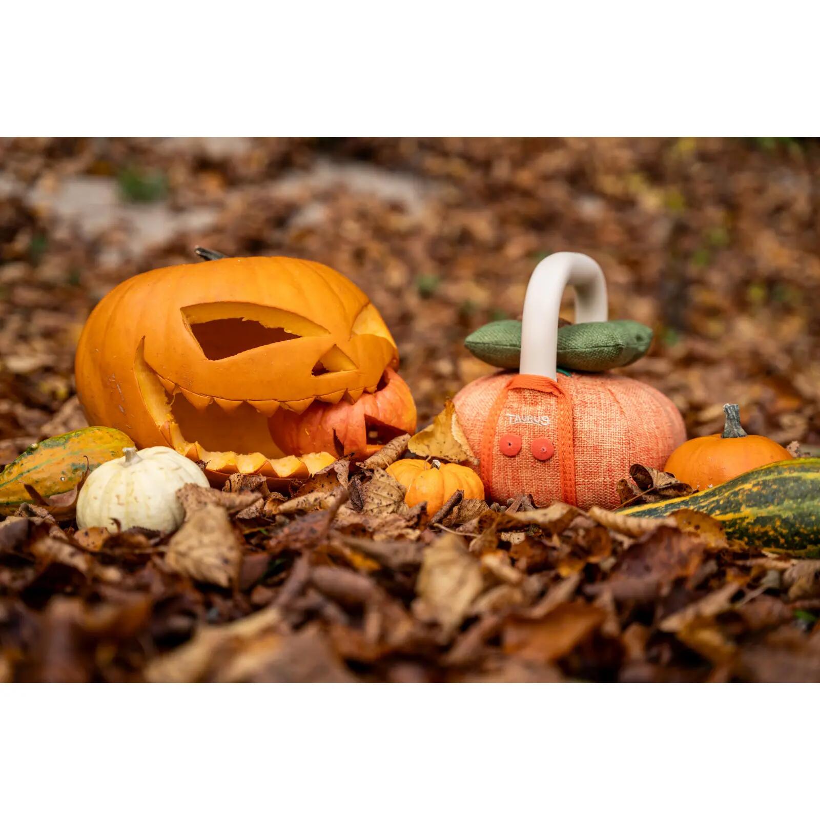 Kettlebell - musculation - 6 kg - Taurus halloween - orange vitamin 2/4