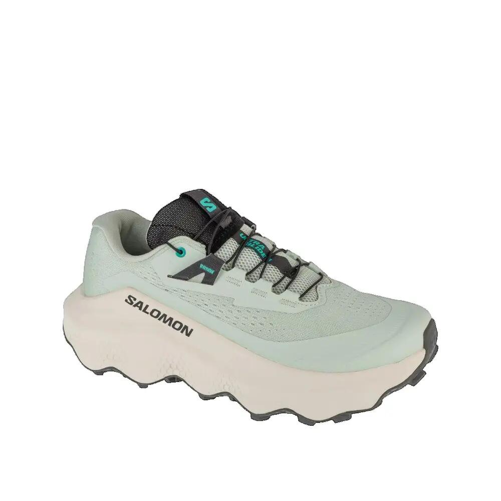 SALOMON picture