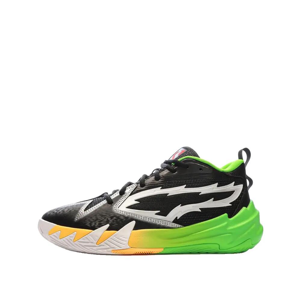 PUMA picture