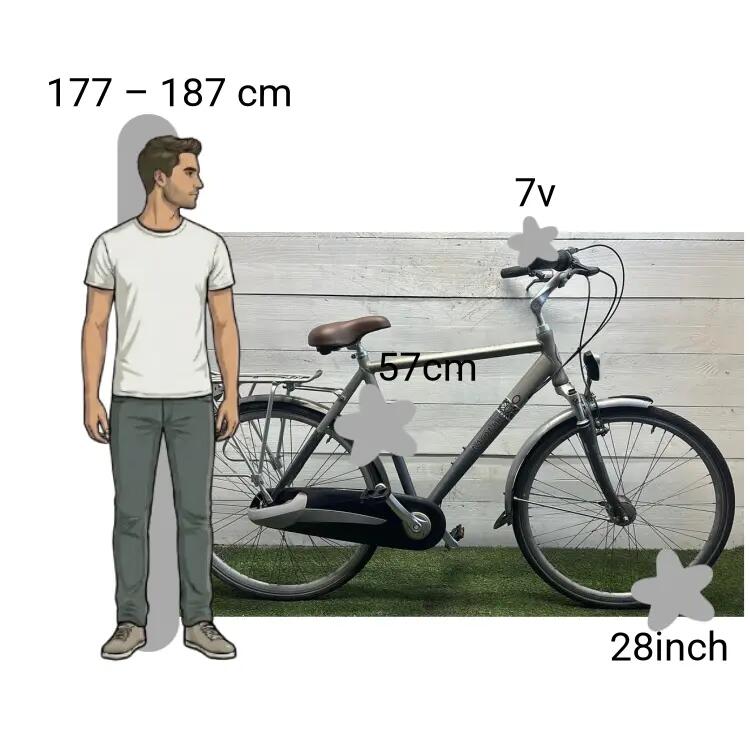 Vélo d’occasion Montego Society 2/4