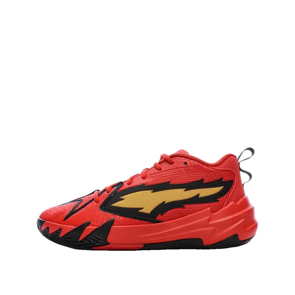 PUMA picture
