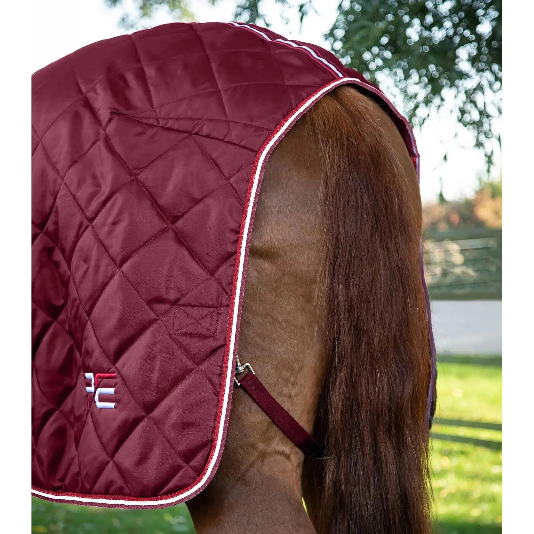 Coperta da box per cavalli Premier Equine 100g 5/5