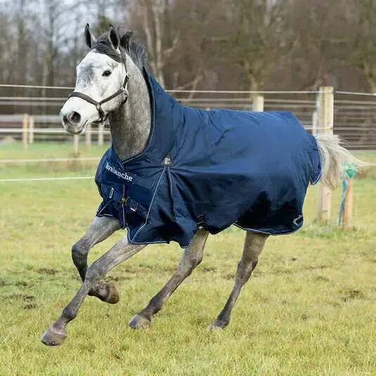 Couverture d'extérieur pour cheval imperméable avec grand couvre-cou pour cheval
