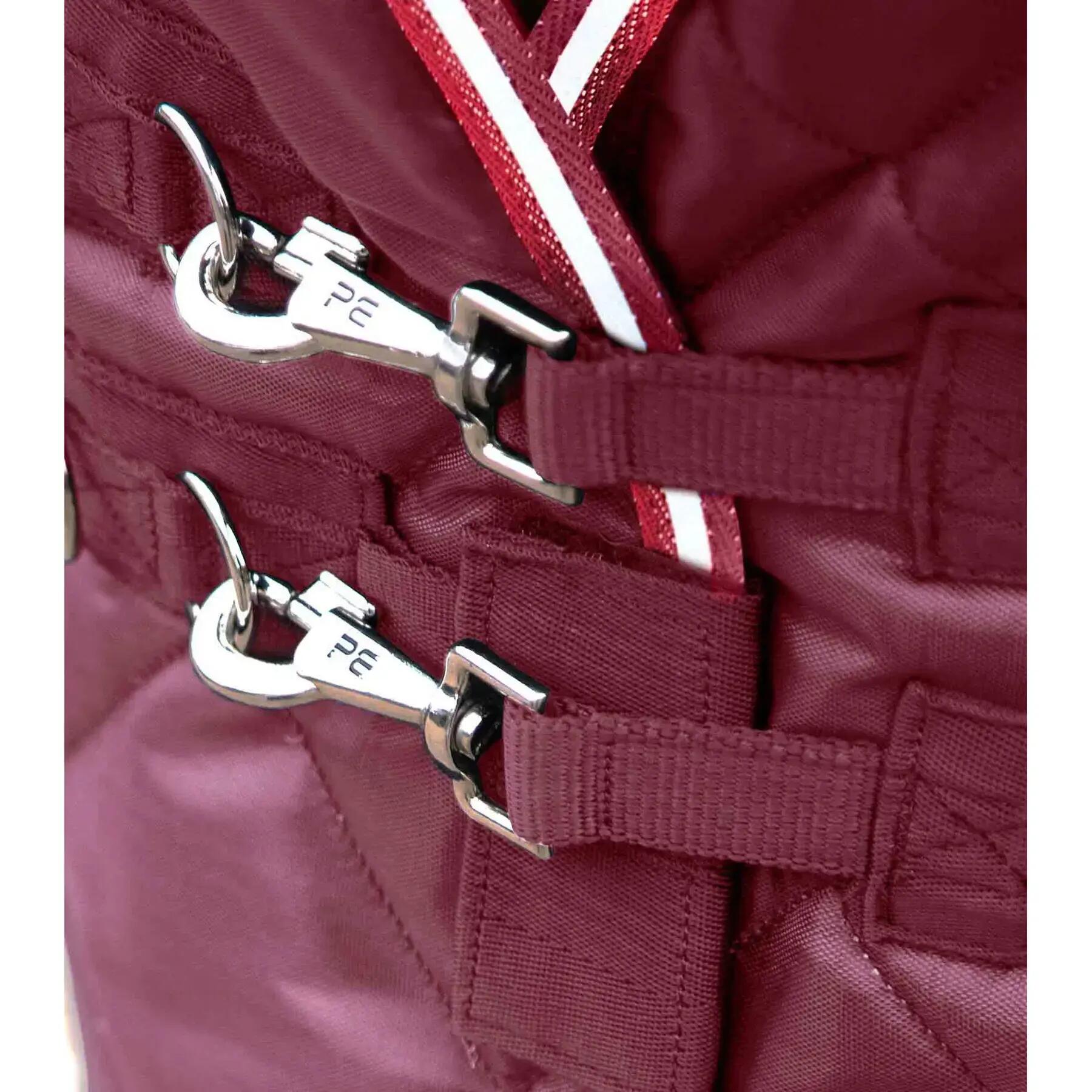 Coperta da box per cavalli Premier Equine 100g 3/5