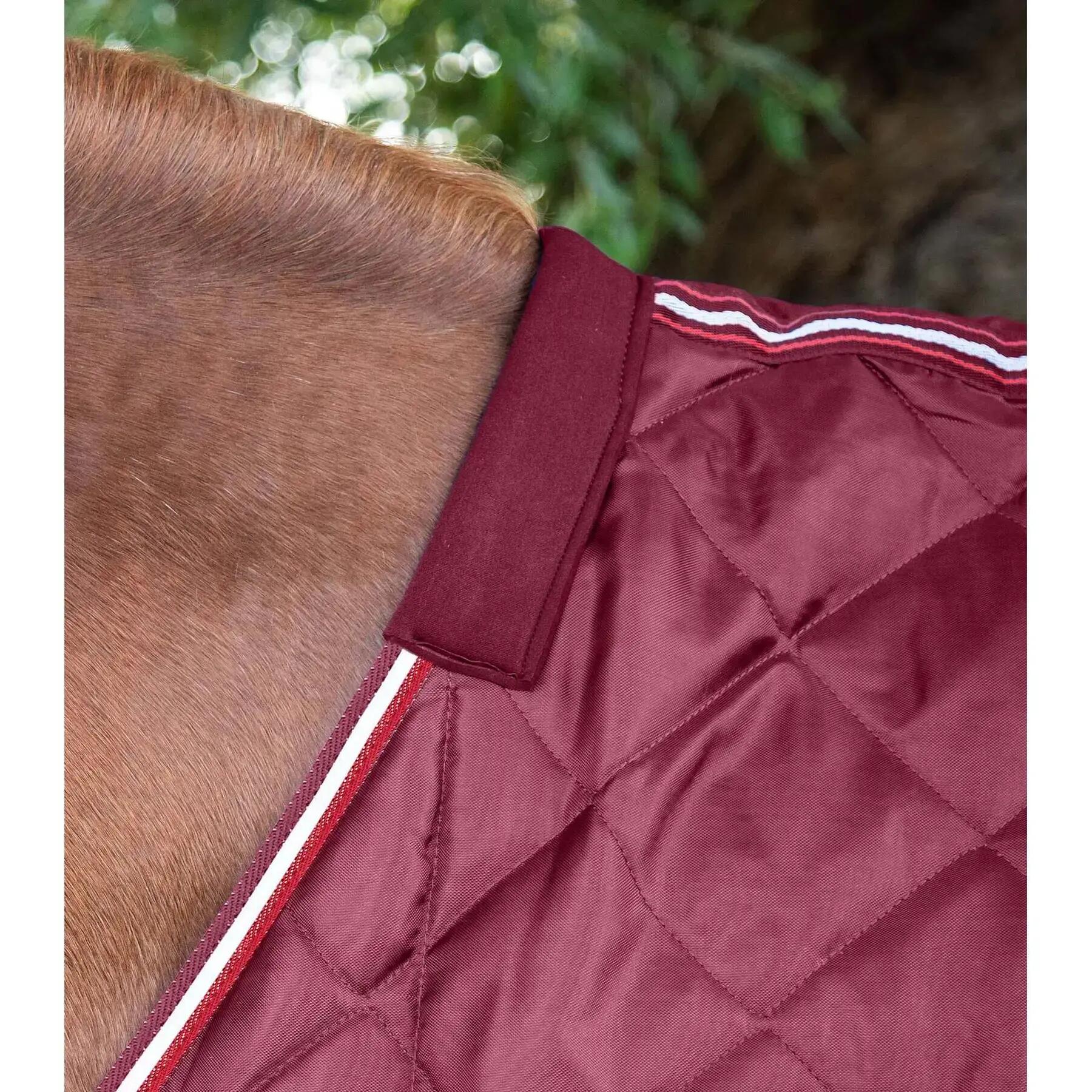 Coperta da box per cavalli Premier Equine 100g 2/5