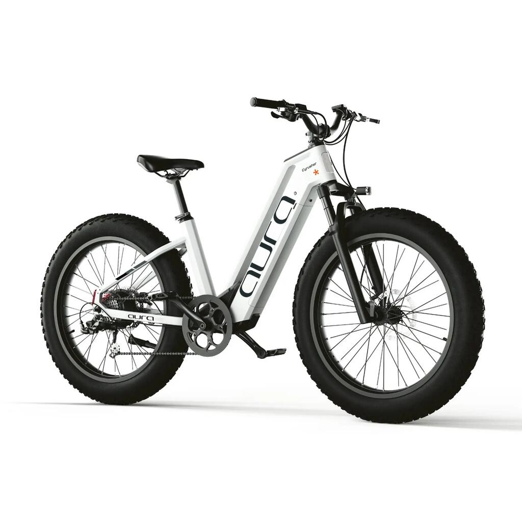 Bicicletta elettrica Aura telaio basso pneumatici larghi 52V 15Ah 95Nm 96km