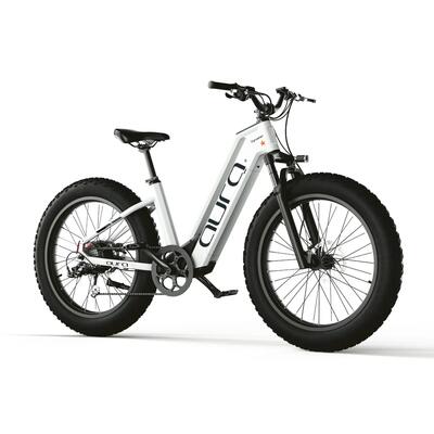Elektrische fiets aura lage instap brede banden 52v 15ah accu 95nm 96km