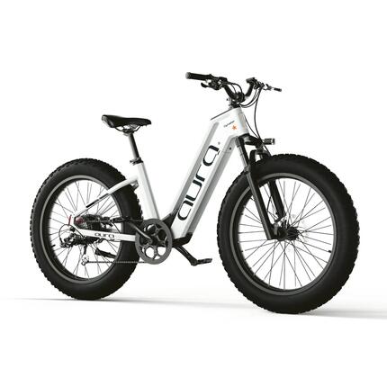 Elektrische fiets Aura lage instap brede banden 52V 15Ah accu 95Nm 96km