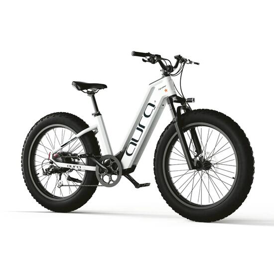 Elektrische fiets Aura lage instap brede banden 52V 15Ah accu 95Nm 96km