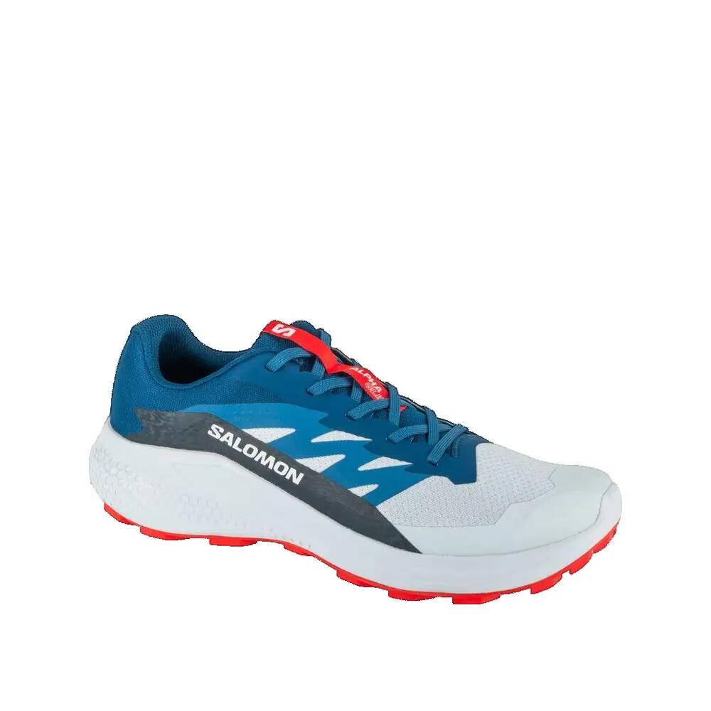 SALOMON picture
