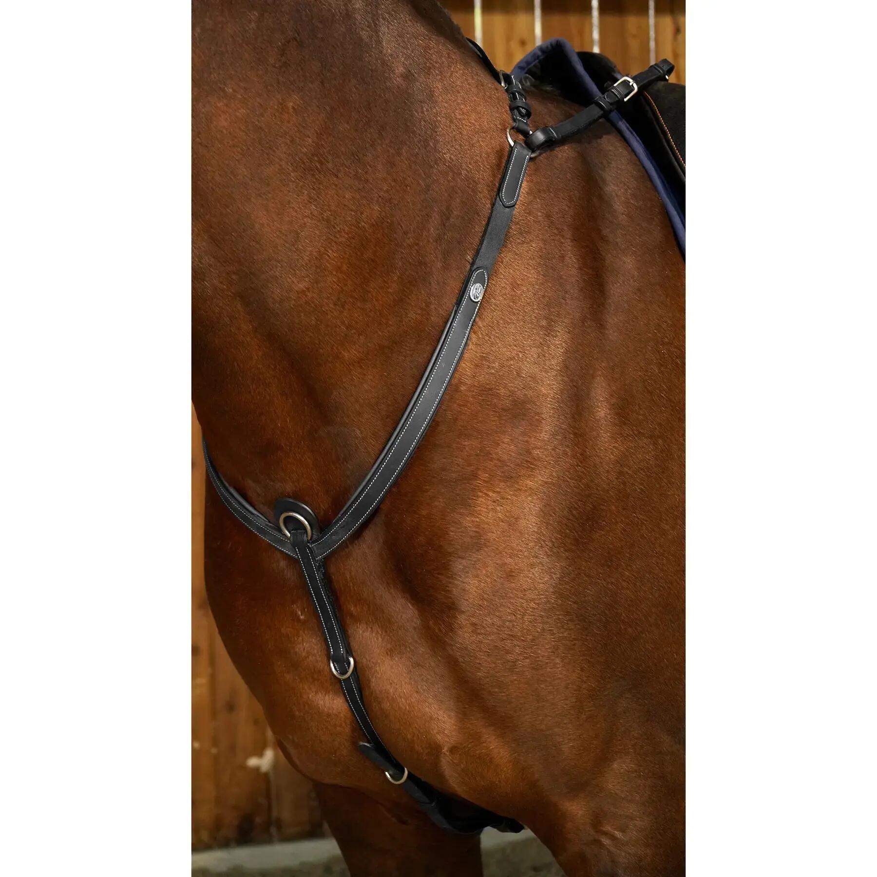 DY'ON picture