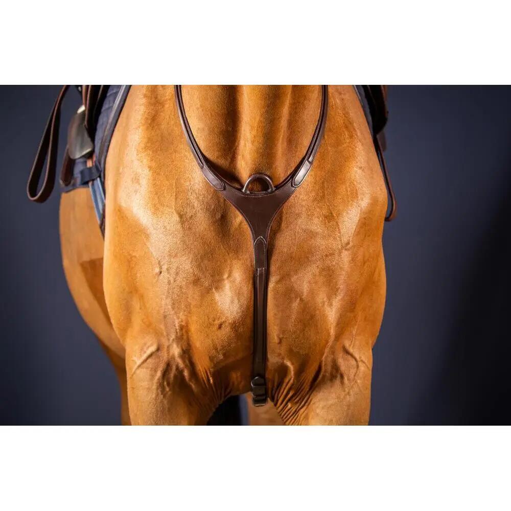 Jachthalsband voor brugpaard Dy'on 2/2