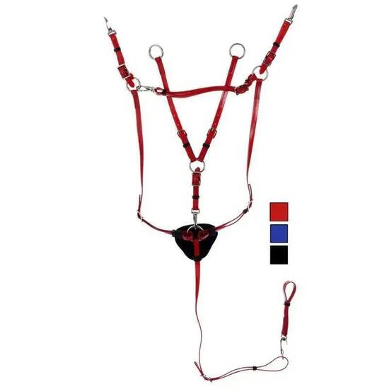 Collier de chasse pour cheval et martingale Daslö PVC