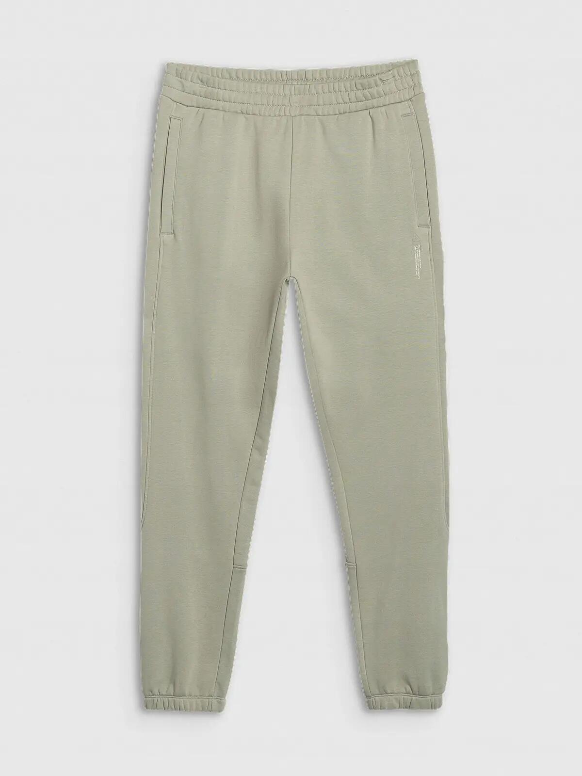 SPODNIE MĘSKIE DRESOWE 4F JOGGERY 10/10