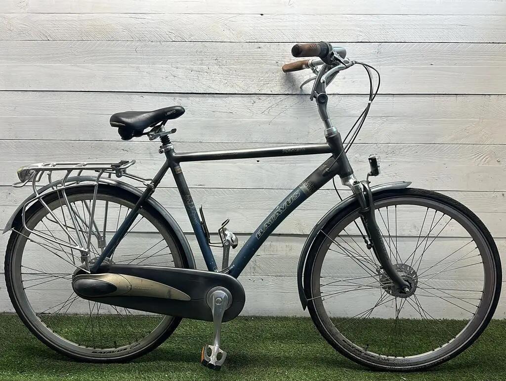 BATAVUS picture