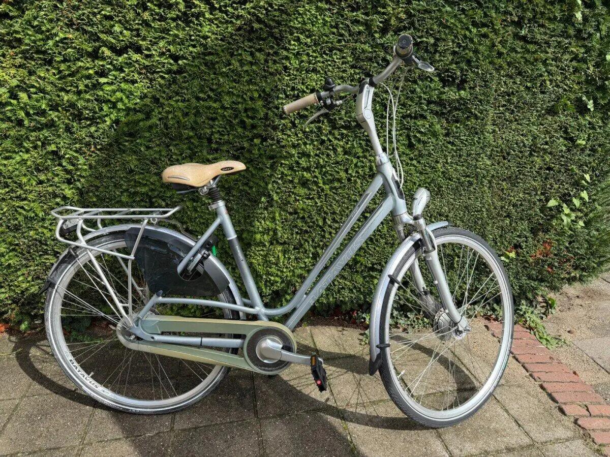BATAVUS picture