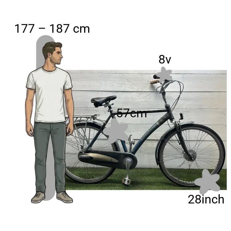 Gebraucht Batavus Staccato 2/4