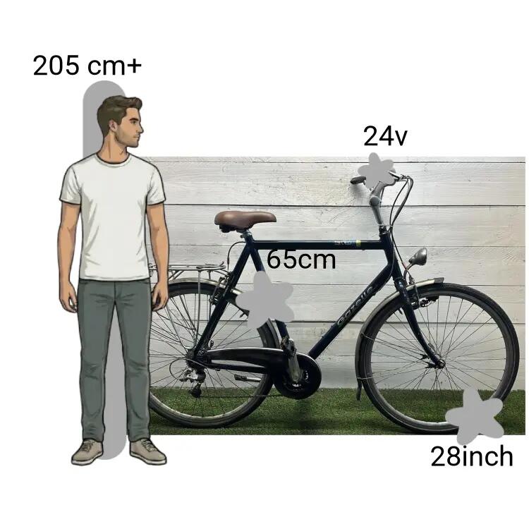 Gebraucht Gazelle Medeo 2/4