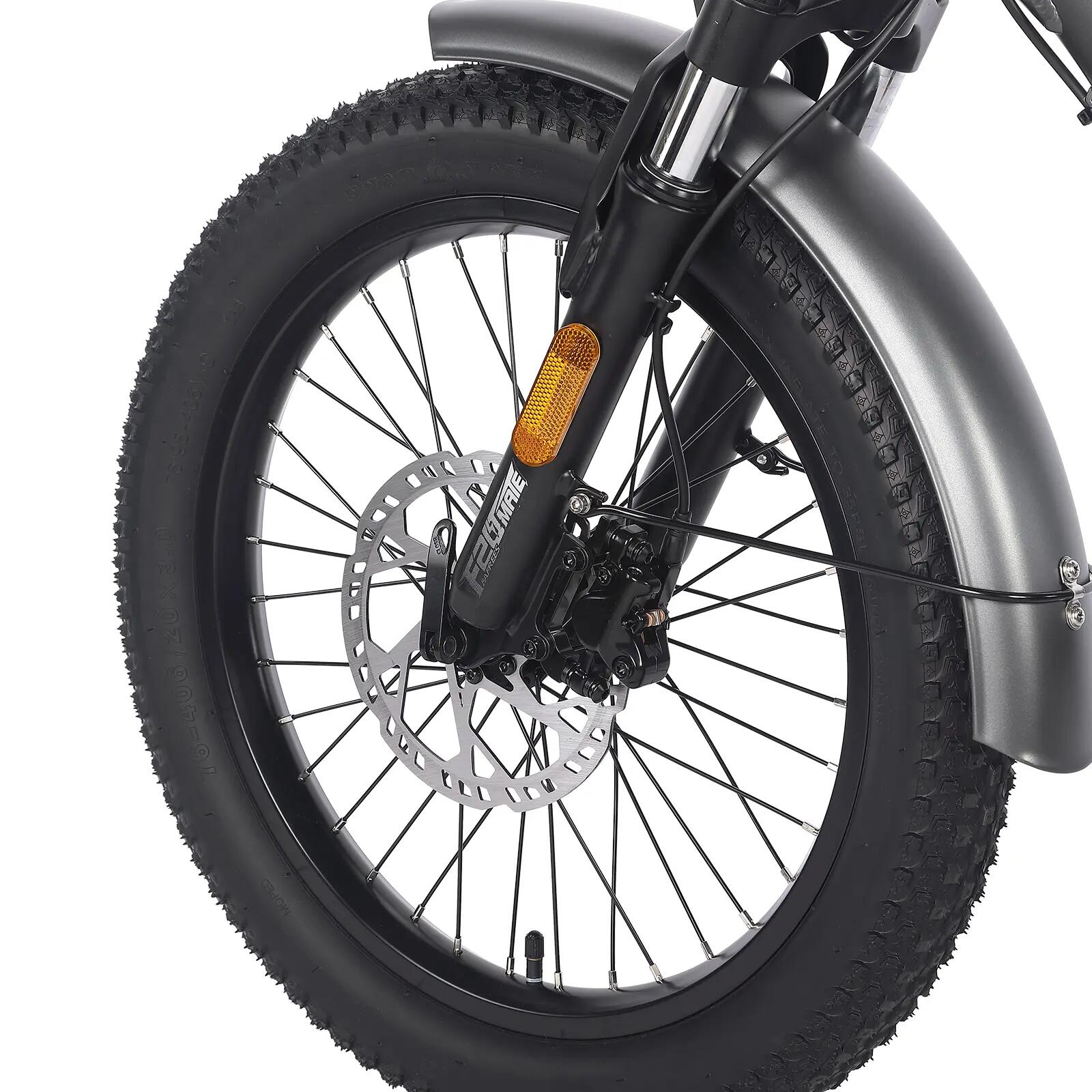 Triciclo elettrico pieghevole Fafrees F20 Mate,batteria 48V 21Ah,freni idraulici 12/15