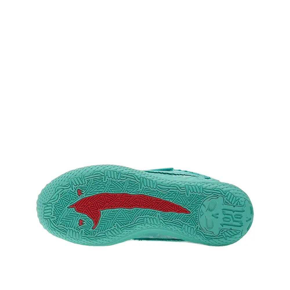 PUMA picture