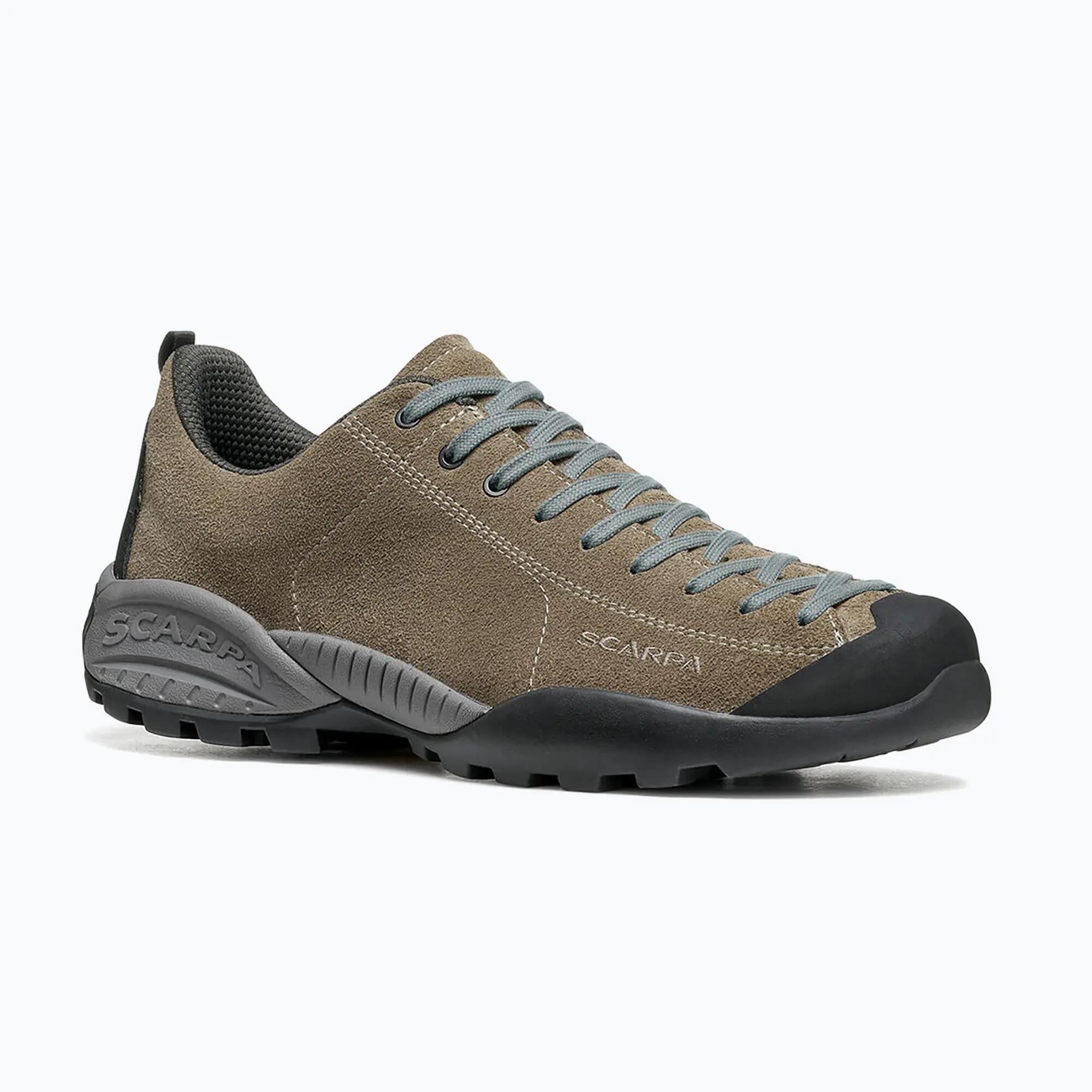 SCARPA picture