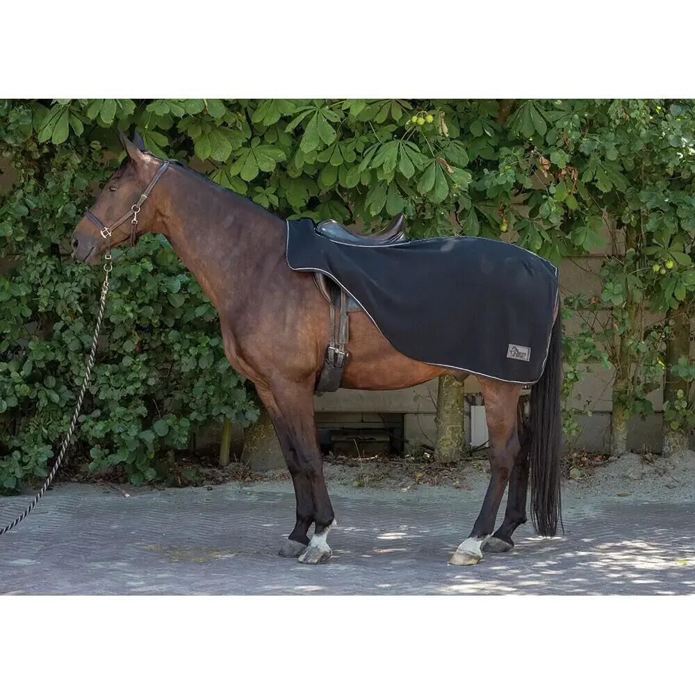 HARRYS HORSE picture