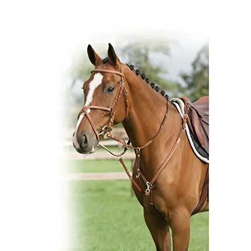 Collier de chasse luxe avec surpiqûres décoratives QHP 2/2