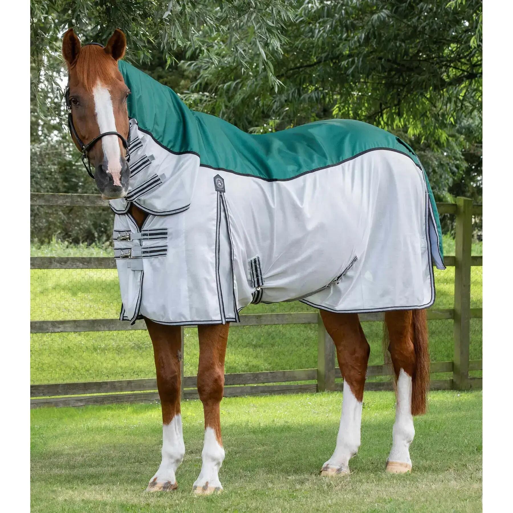PREMIER EQUINE picture